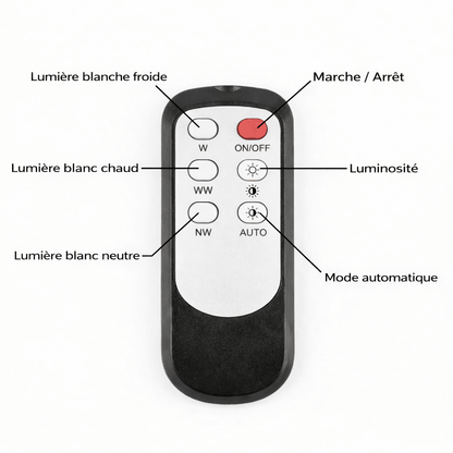 PLUGIFY™ One – Lampe murale d’ambiance - Tsunaya